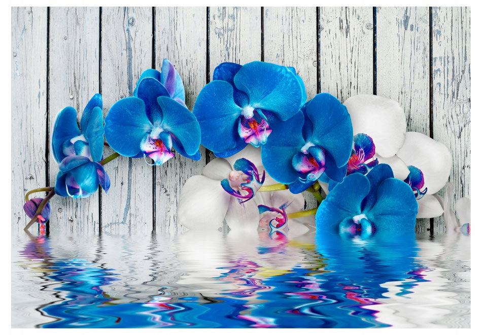 Fototapete - Kobaltische Orchidee 