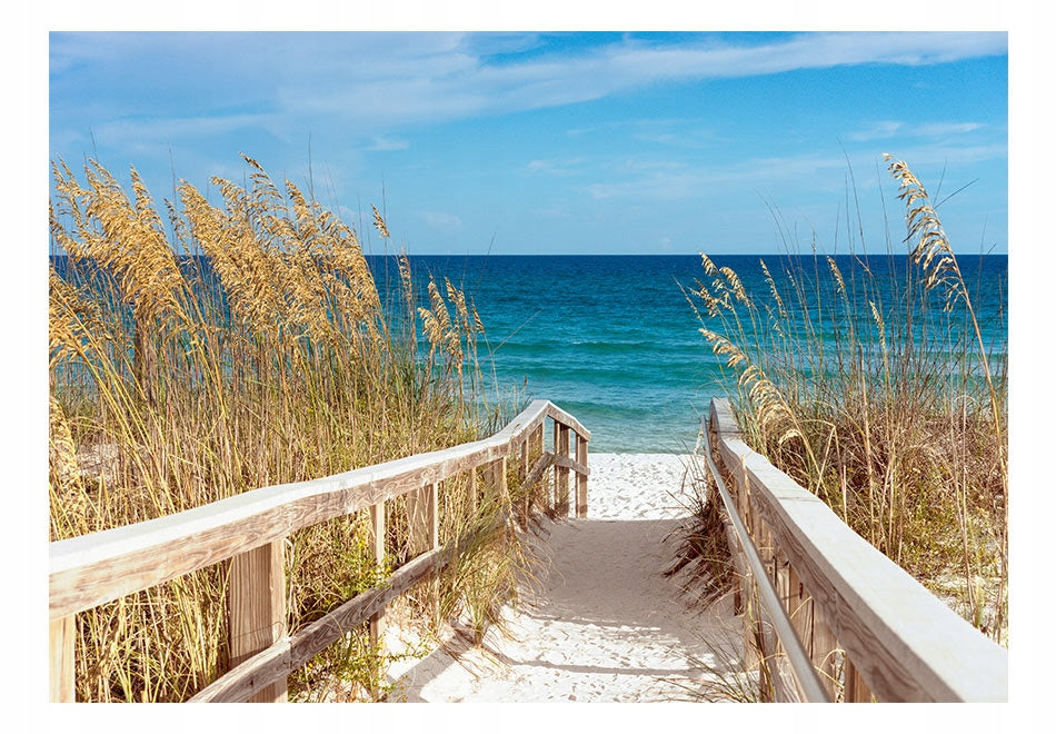 Fototapete - Sommer am Meer 
