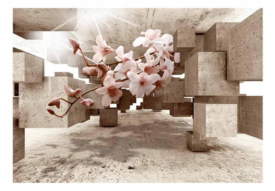 Fototapetas - Little Miracles