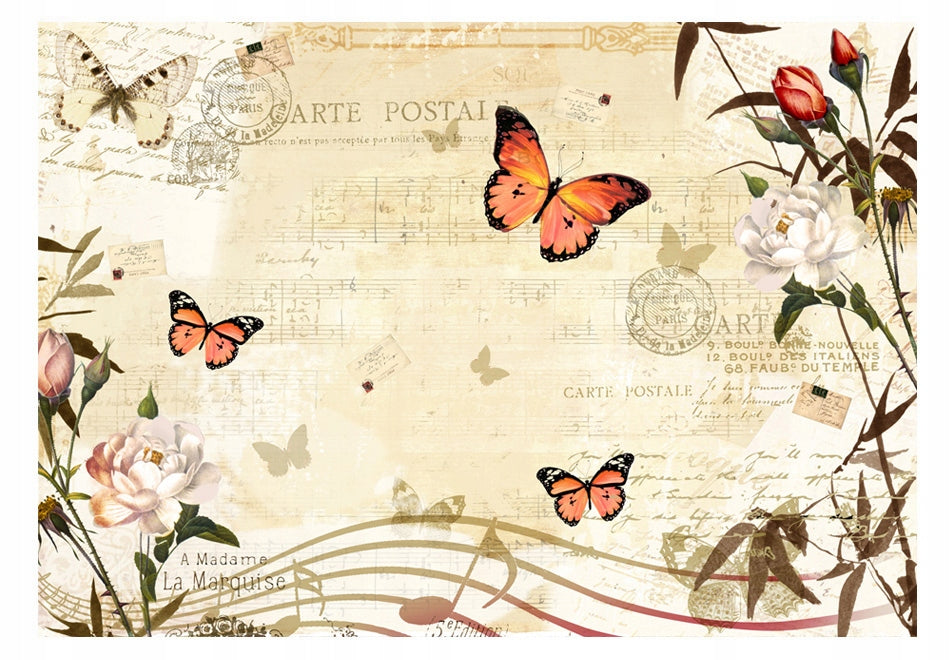 Fototapetas - Melodies of butterflies