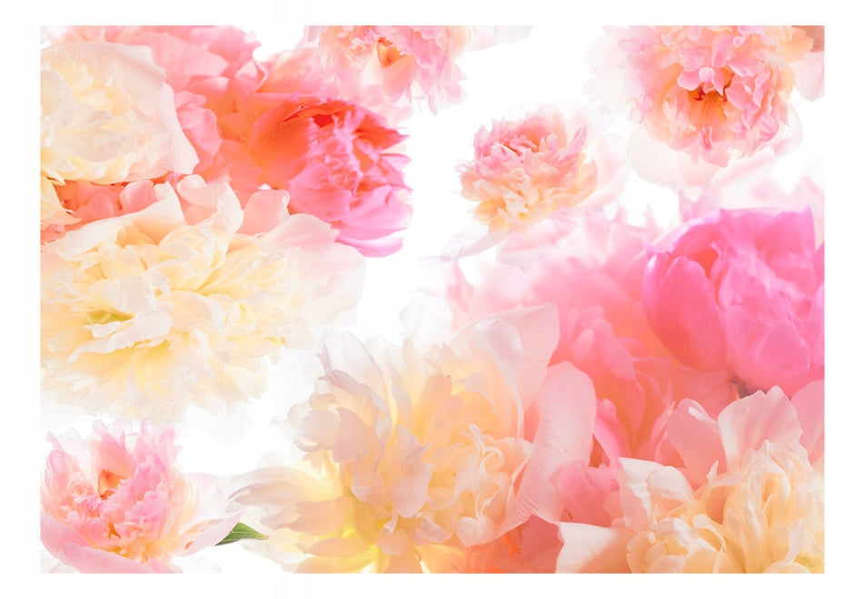 Fototapetas - Pastel peonies