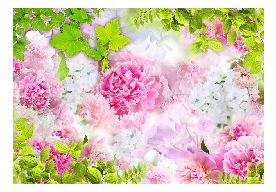 Fototapetas - Peonies