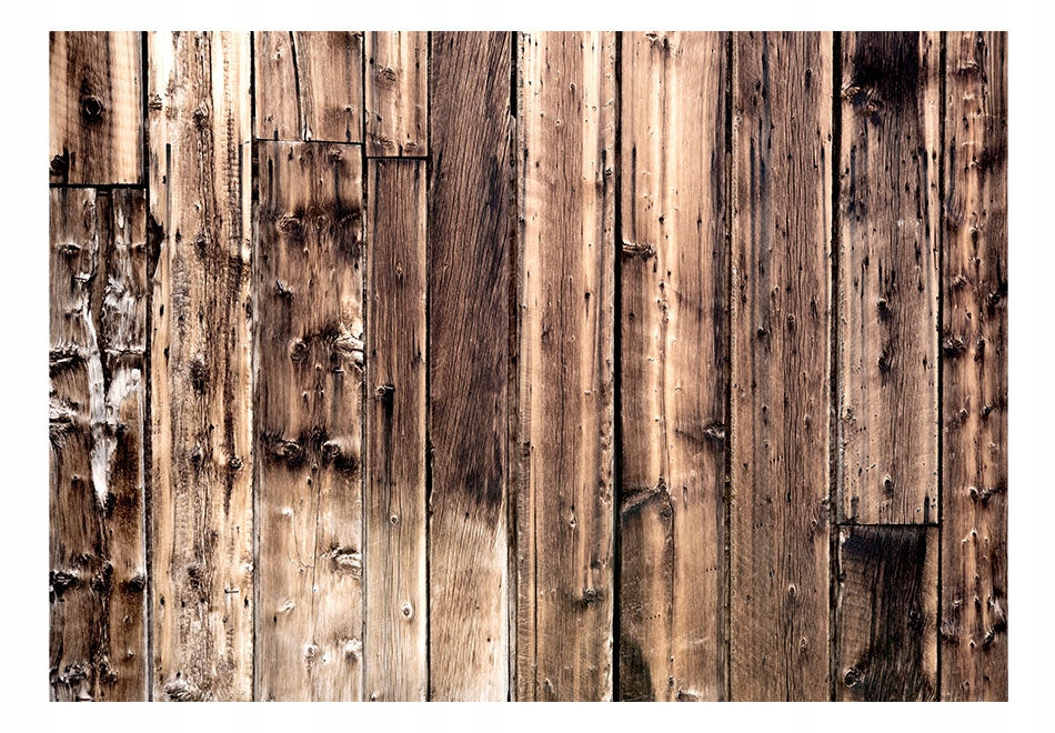 Fototapeta – Poesie des Baumes 
