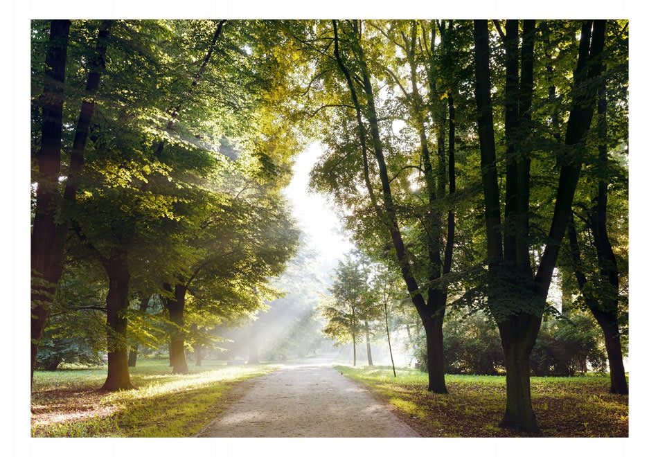 Fototapete - Morgenspaziergang 