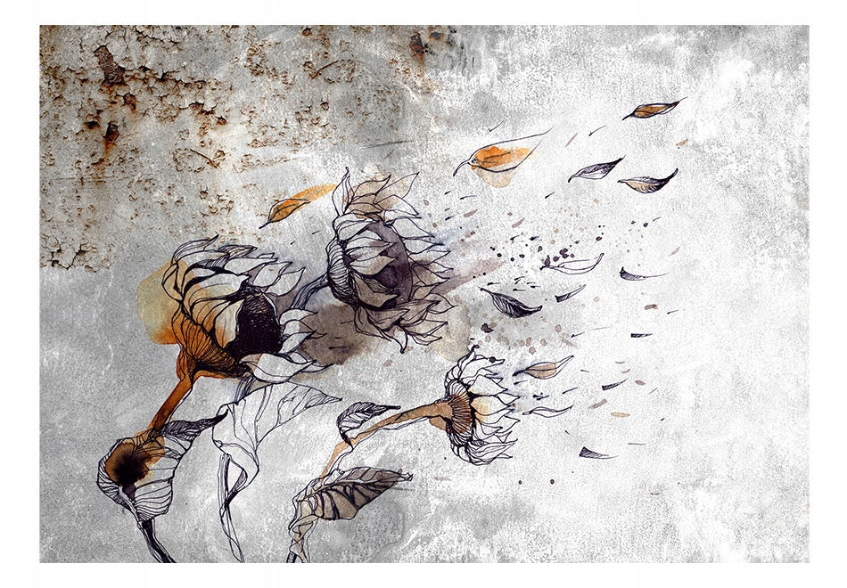 Fototapetas - Recall sunflowers