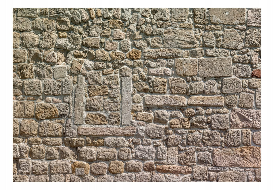 Fototapets - Steinmauer 