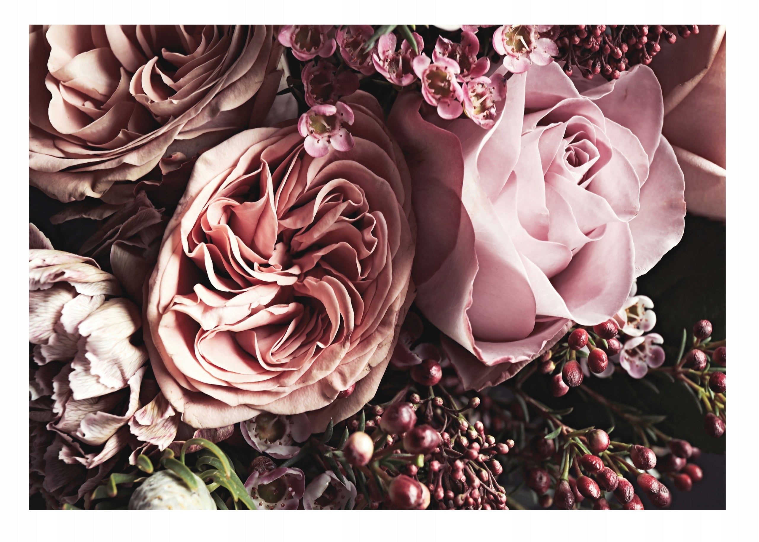 Fototapete Blumen 