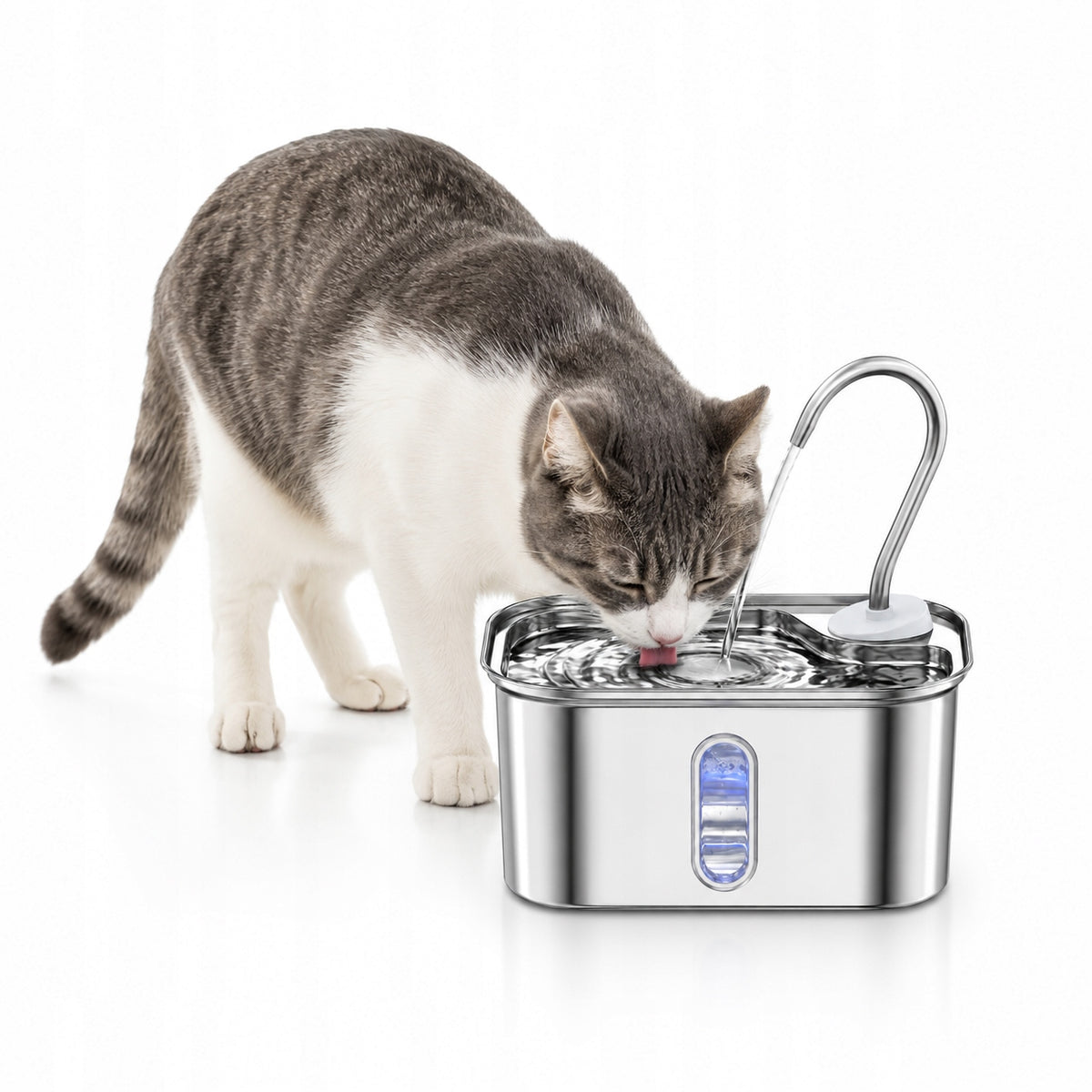 Fountain Cat Drinker Stainless Steel 304 Drinker Filter Water Window