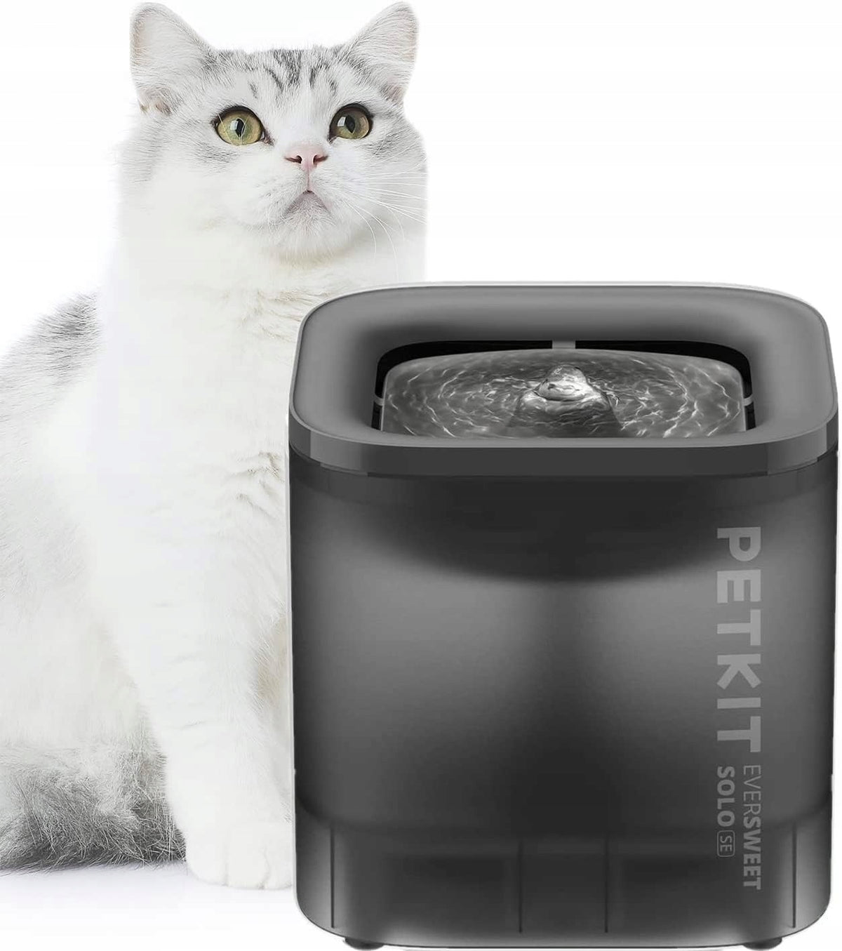 Fountain for Cat and Dog Wireless Water Pump 1,85L