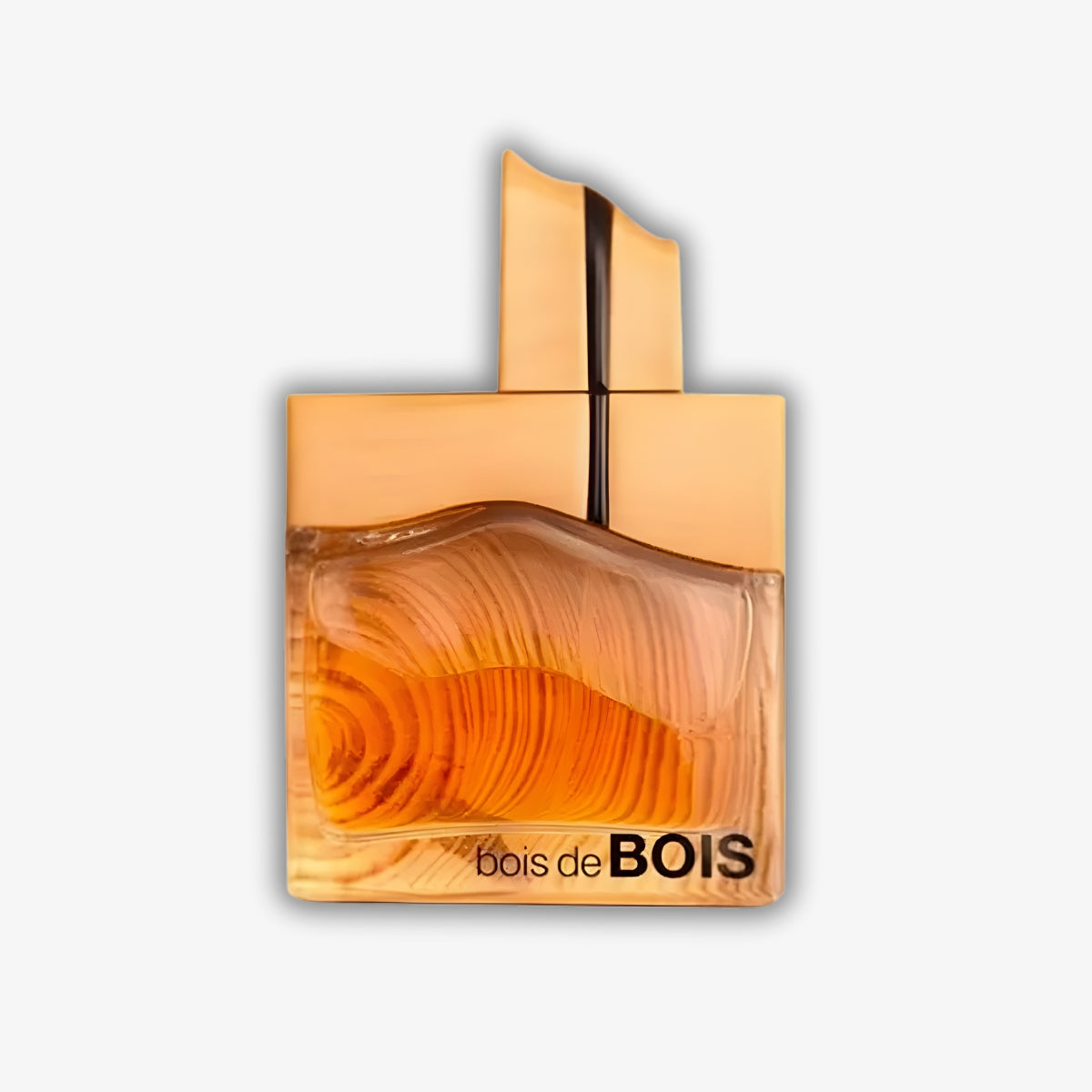Fragrance World Bois de Bois 100 ml EDP Packaging status original