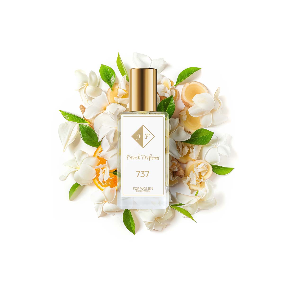 Francuskie Perfumy Women's No. 737 - 33ml | Ginger Vanilla |Permanent Fragrance