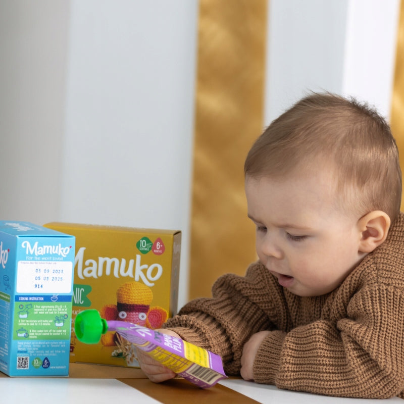 Fruit Mousse for Children Organic Banana Plum Puree Mamuko 100 g Manufacturer code 4779032700597