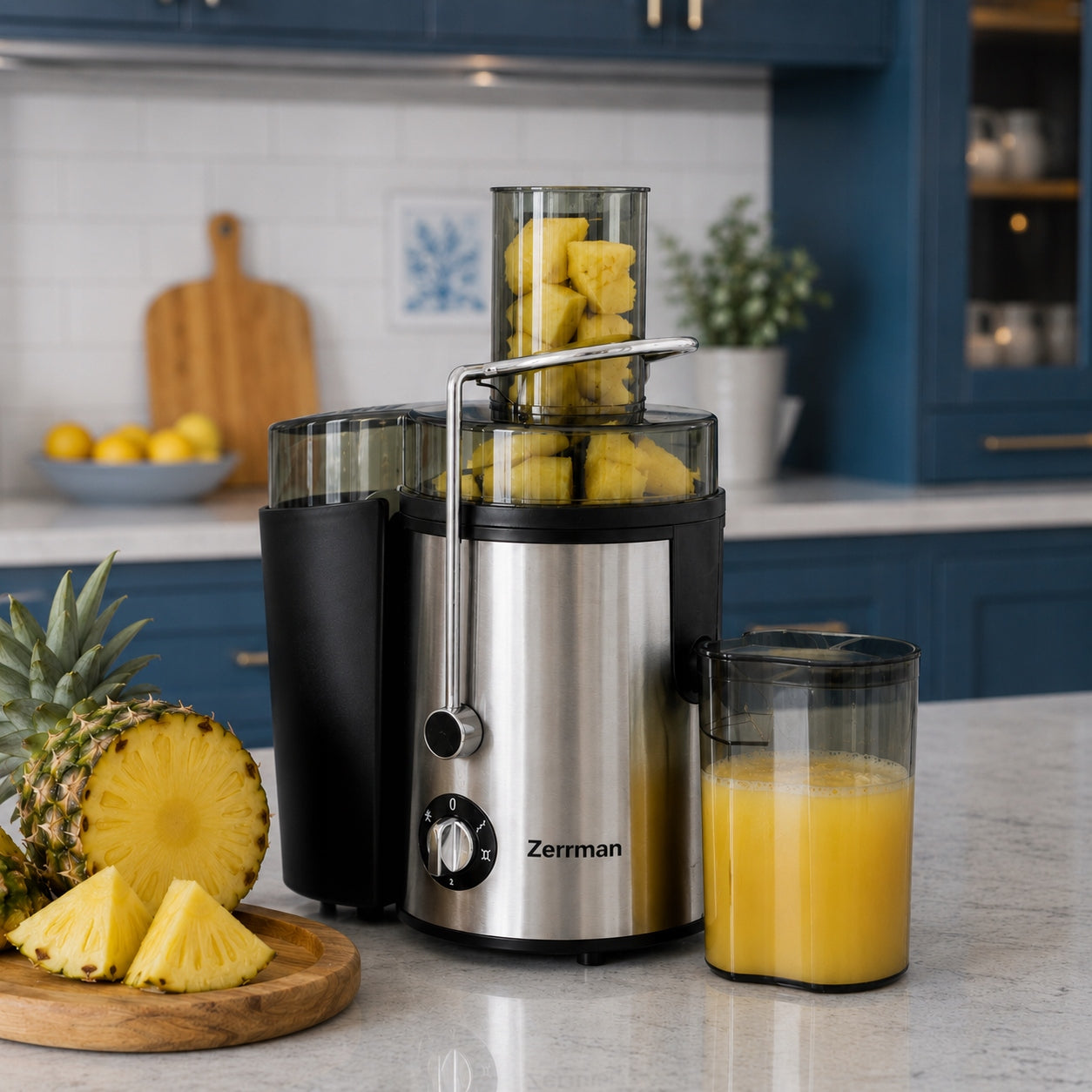 Fruit and Vegetable Juicer High Speed Juicer High Power 1600W800W Packaging status original