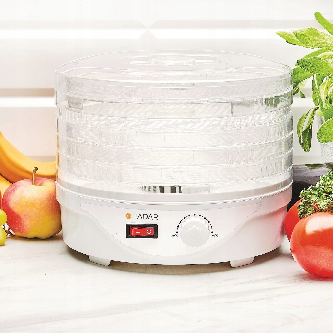Fungo 24cm Food Dryer for Drying Vegetable Fruit Mushrooms 5p 250W Dominant color white