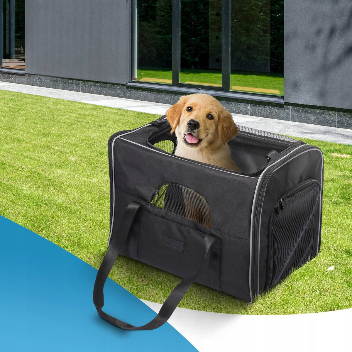 FurDreams Dog Travel Bag and Transporter