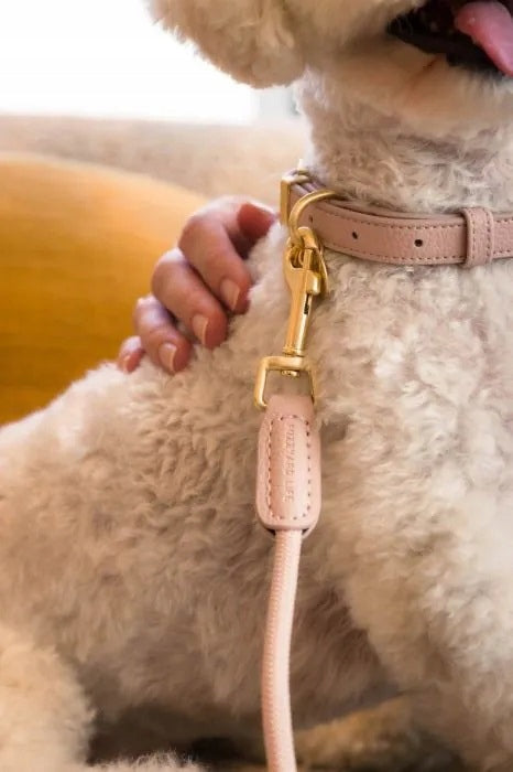 FuzzYard Life Atelier – Rope Lanyard S- Powder Pink Brand FuzzYard
