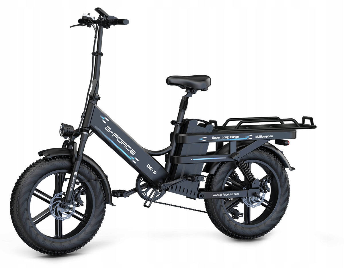 G-FORCE DE-S Electric vehicle 1000W 45km/h 45Ah 200km Hydraulic Brakes PL