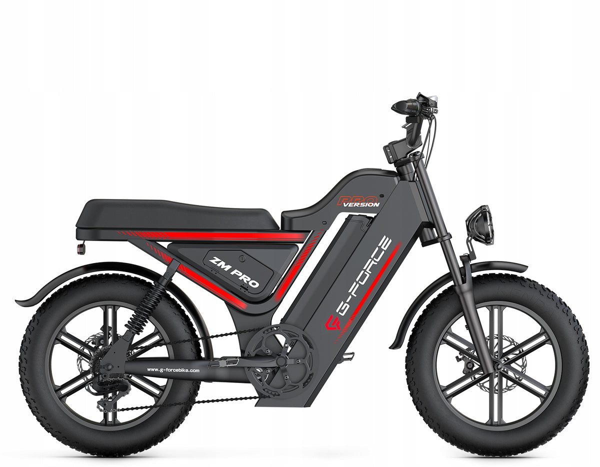 G-FORCE ZM PRO Electric Vehicle 1000W 45KM/H 40AH 200HP Oil Brake