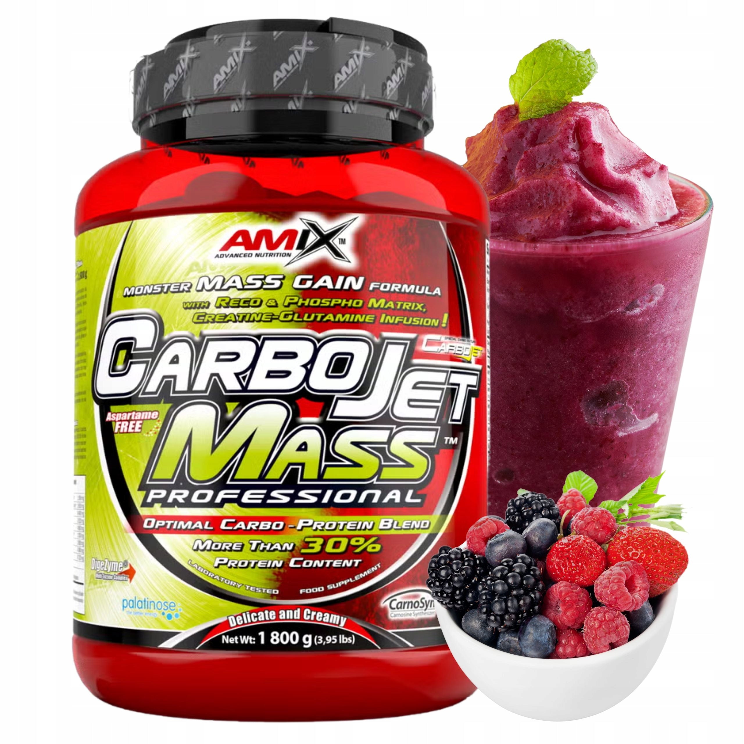 GAINER BCAA Creatine Whey Protein Carbohydrates Vitargo Forest Fruits