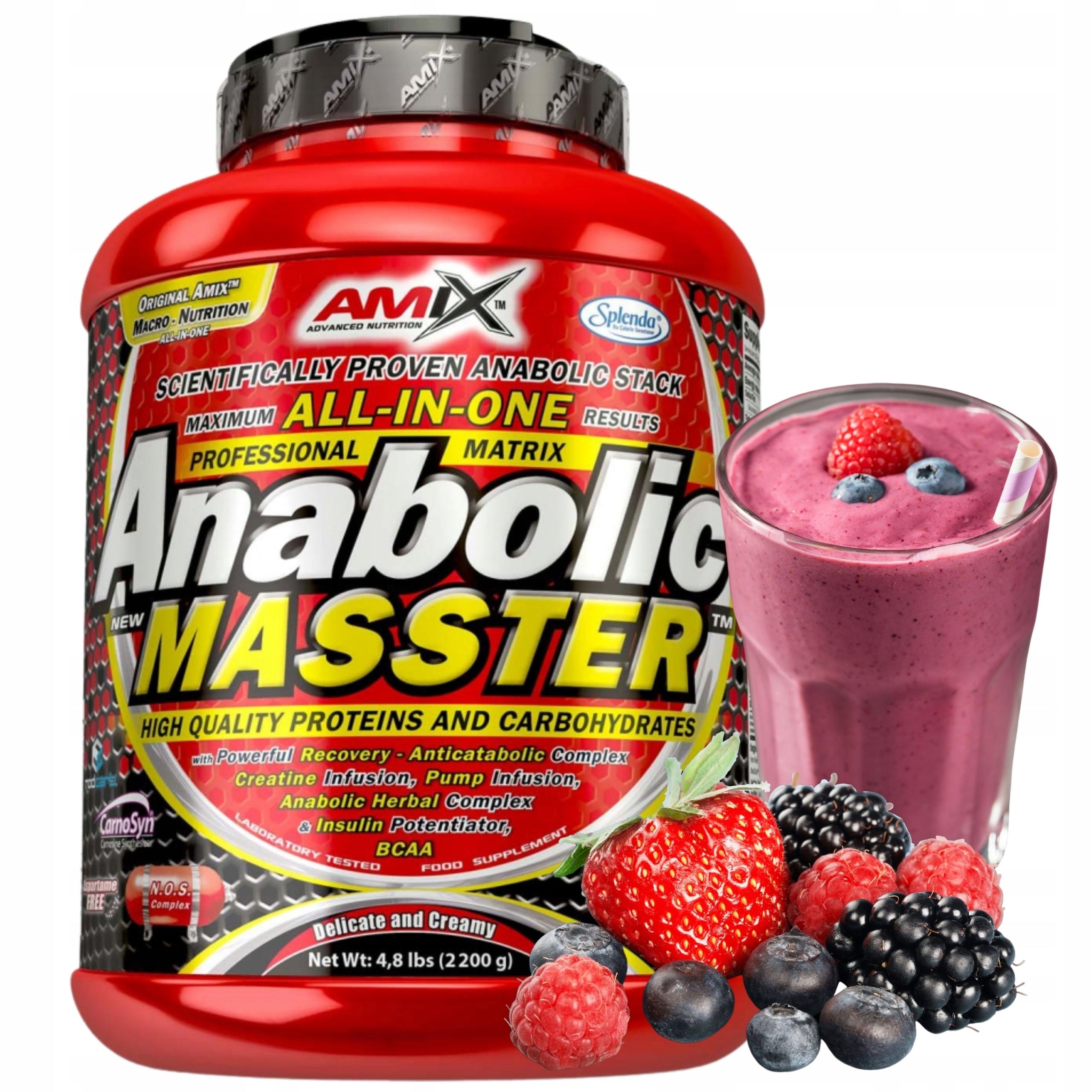 GAINER FOR MASS Protein CFM Creatine Carbs AMIX ANABOLIC MASSTER Forest Fruit