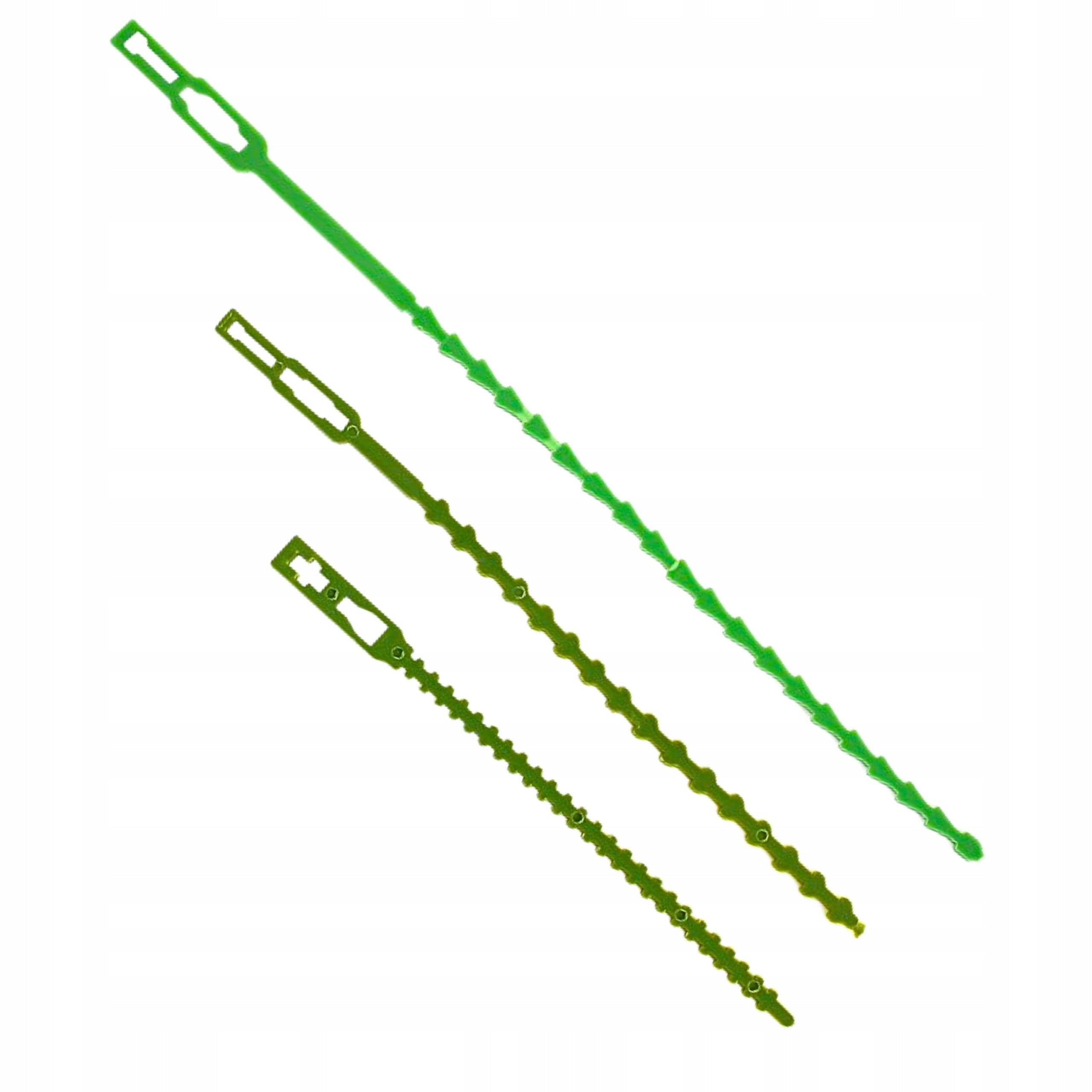 GARDEN BANDS FOR FASTENING PLANTS BRANCHES GREEN 60pcs 13cm 17cm 23cm Brand Allbe