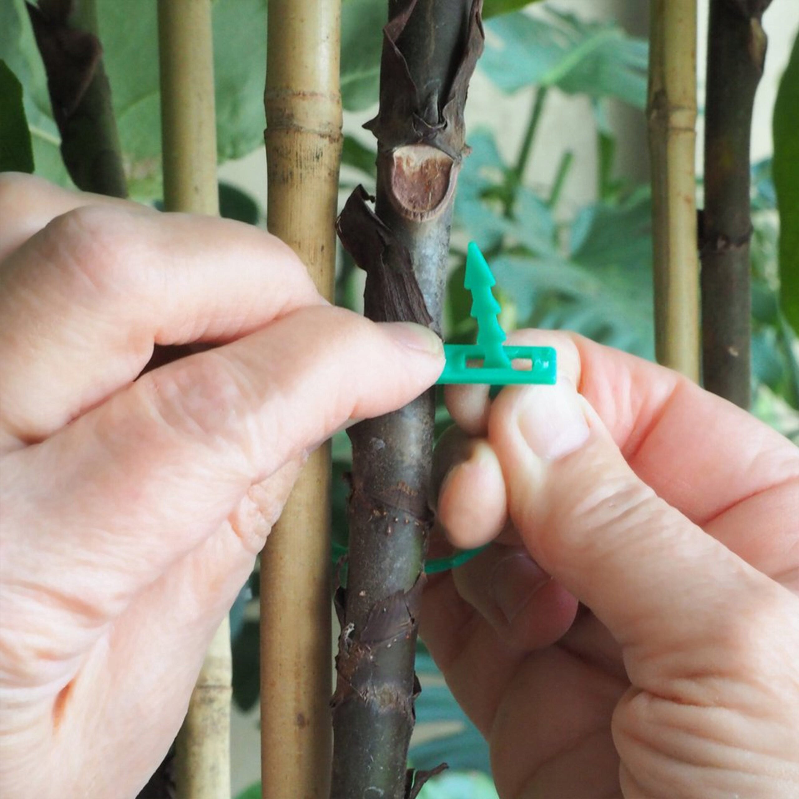 GARDEN BANDS FOR FASTENING PLANTS BRANCHES OF FLOWERS GREEN ADJUSTABLE 100PCS Brand Przydasie.pl