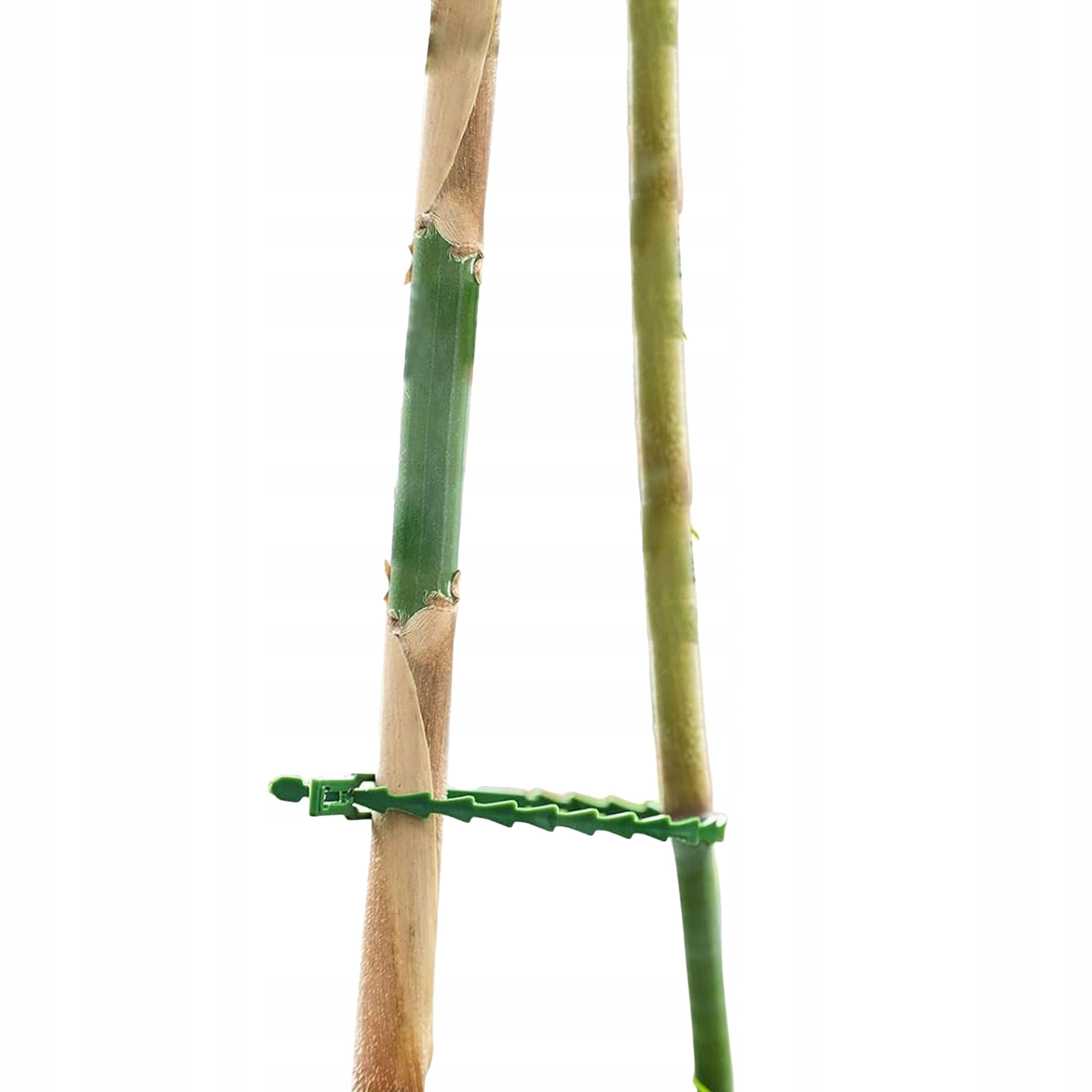 GARDEN BANDS FOR FASTENING PLANTS BRANCHES OF FLOWERS GREEN ADJUSTABLE 100PCS Manufacturer code #11413