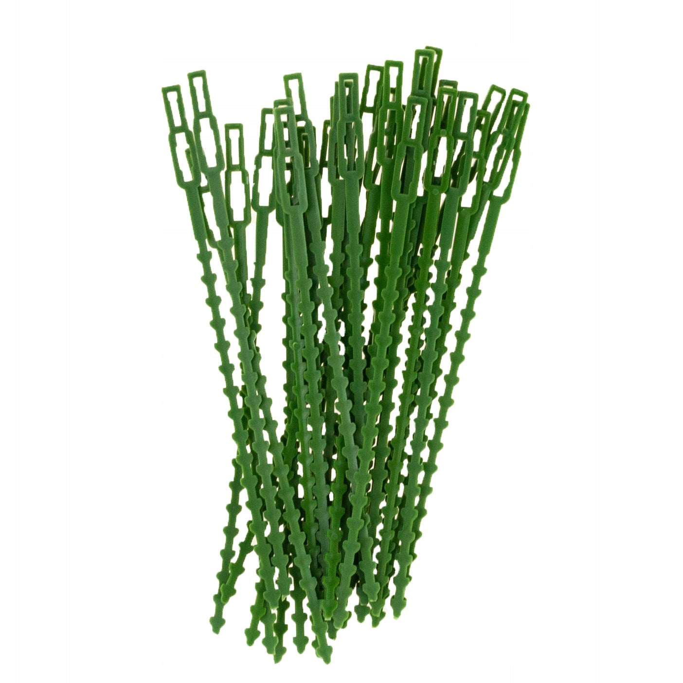 GARDEN BANDS FOR FASTENING PLANTS FLOWER BRANCHES GREEN ADJUSTABLE 30PCS EAN (GTIN) 5900291204888
