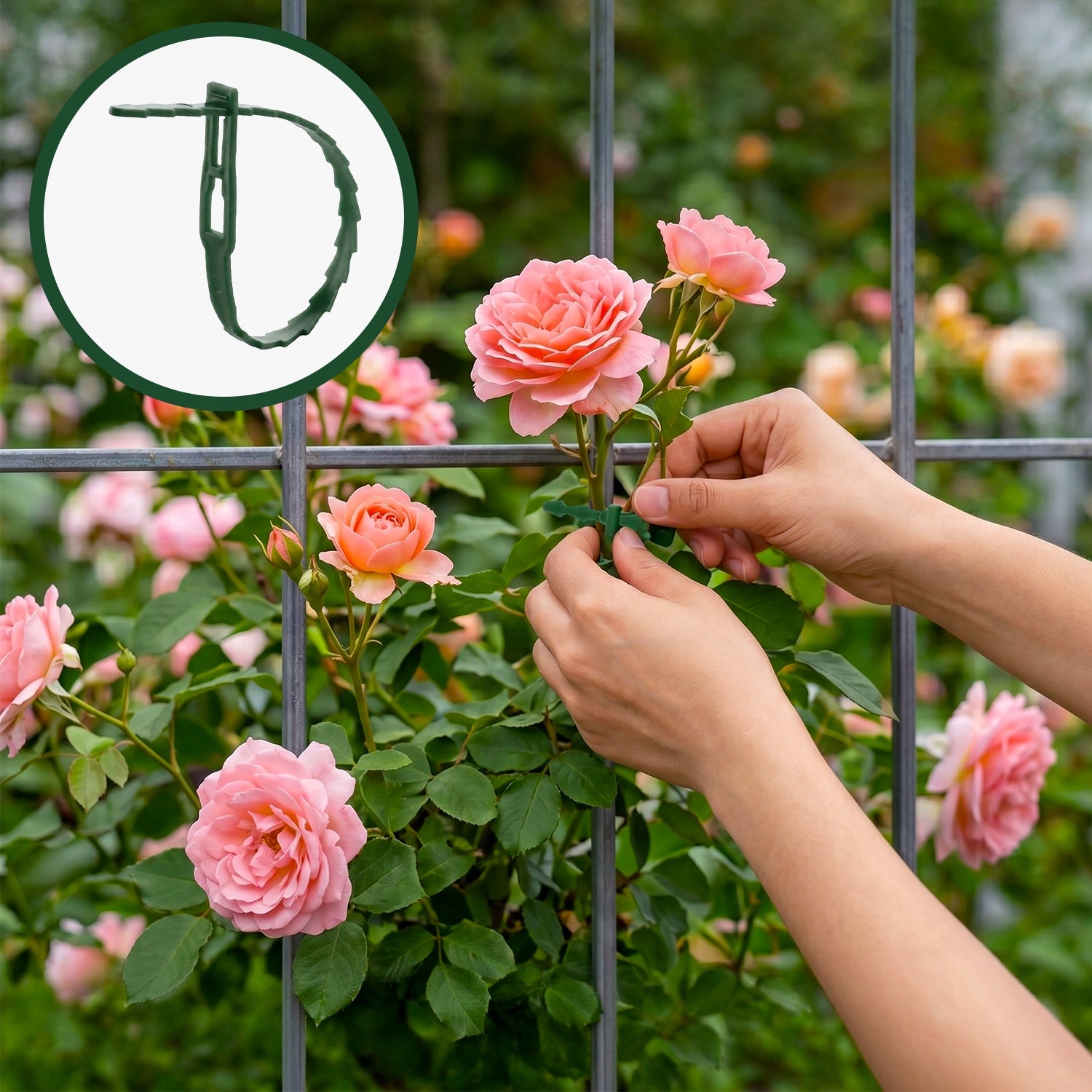 GARDEN CLAMP BANDS FOR FASTENING PLANTS FLOWERS BRANCHES 23cm 100pcs Manufacturer code 5908035715188
