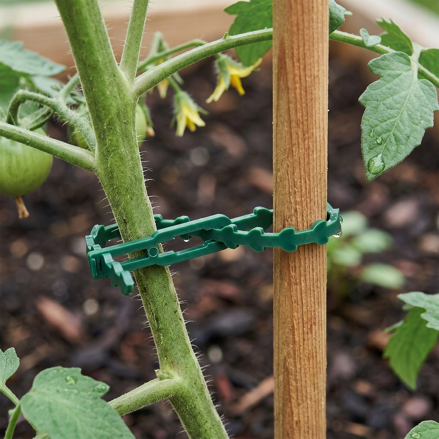 GARDEN CLAMP BANDS FOR FASTENING PLANTS FLOWERS BRANCHES 23cm 100pcs Packaging status original