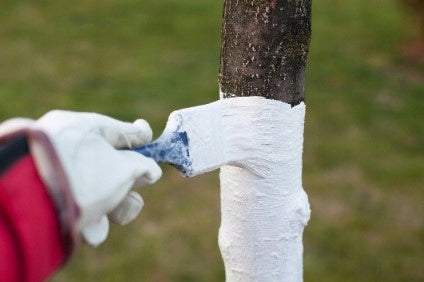 GARDEN LIME FERTILIZER FOR DEACIDIFYING BLEACHING TRUNKS OF SHRUB TREES 2KG BIOVITA Volume 1 l