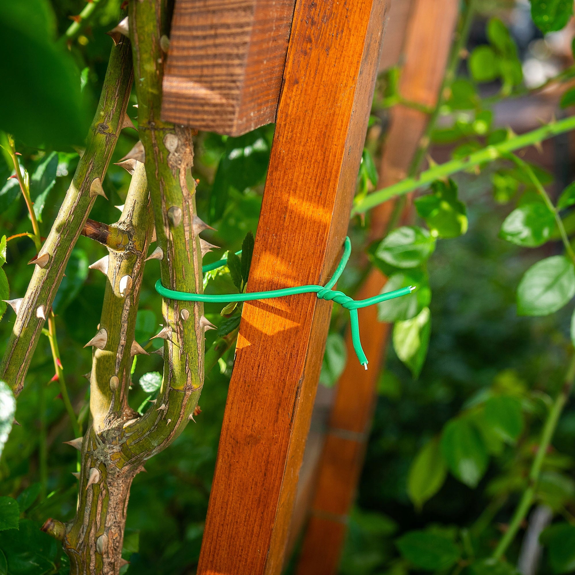 GARDEN WIRE 5 M COATED PLANT BINDING WIRE GREEN Type trimmer line