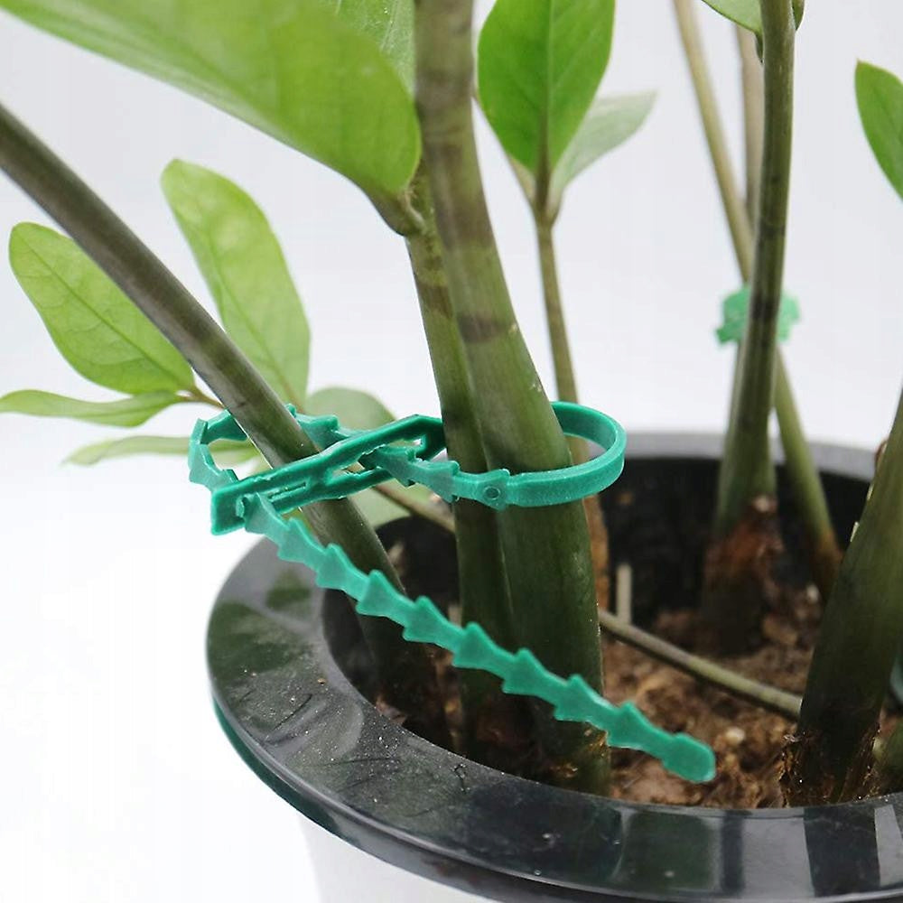GARDENING BANDS FOR FASTENING PLANTS CLAMPING BRANCHES 50 PCS GREEN Number of pieces 50 pcs