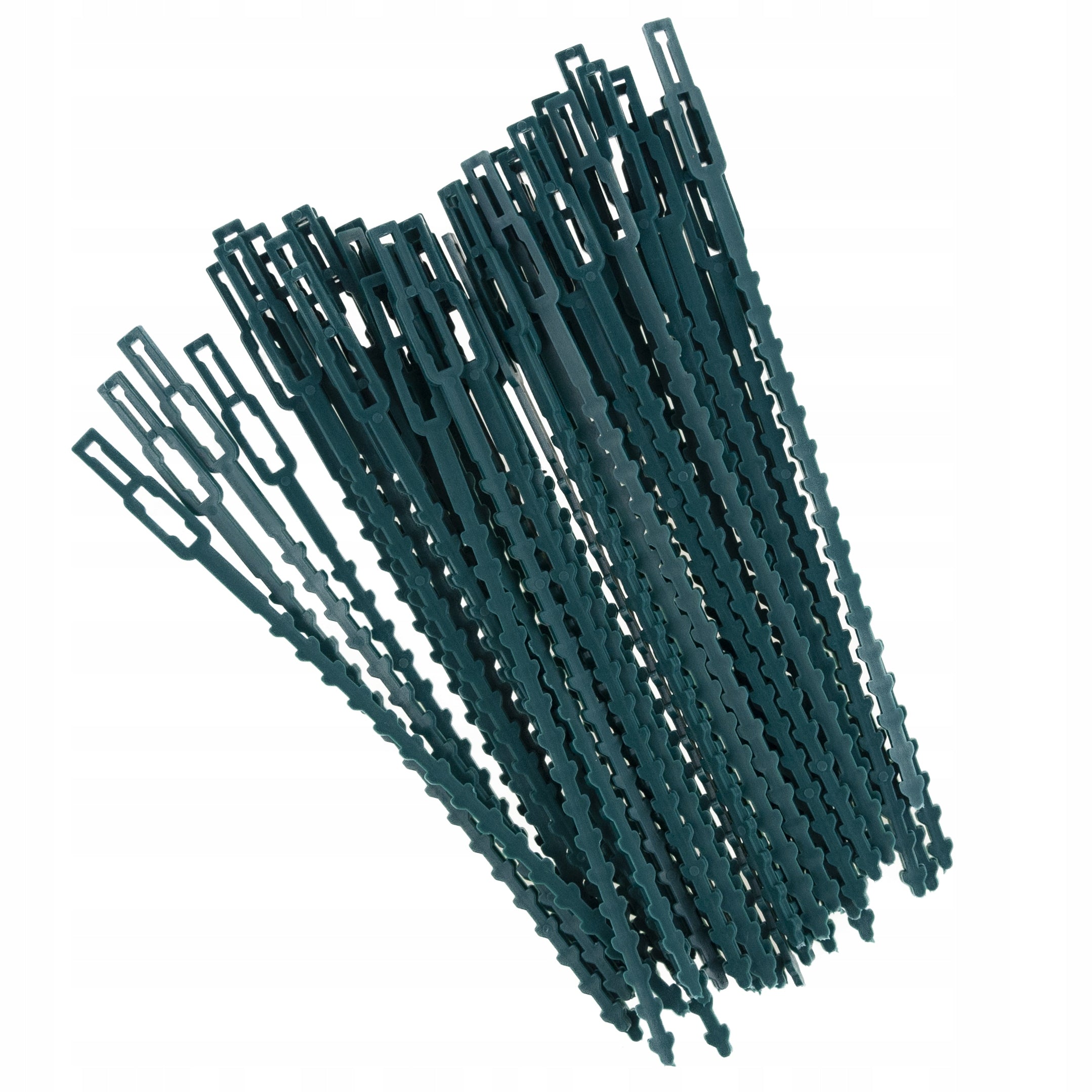 GARDENING BANDS FOR FASTENING PLANTS CLAMPING BRANCHES 50 PCS GREEN Product width 0.8 cm