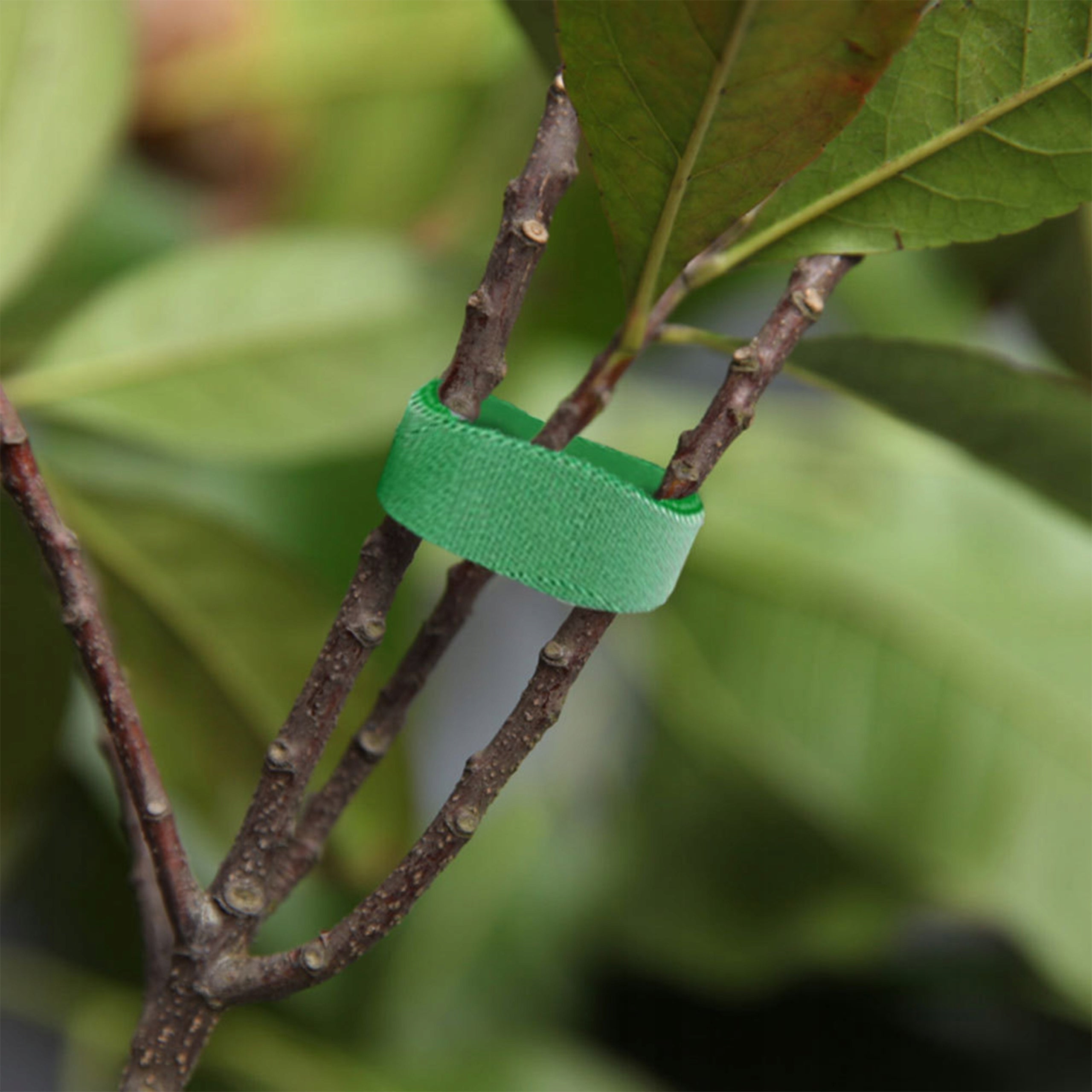 GARDENING TAPE VELCRO FOR PLANTS ELASTIC BAND BINDING POSTS GREEN Product width 200 cm