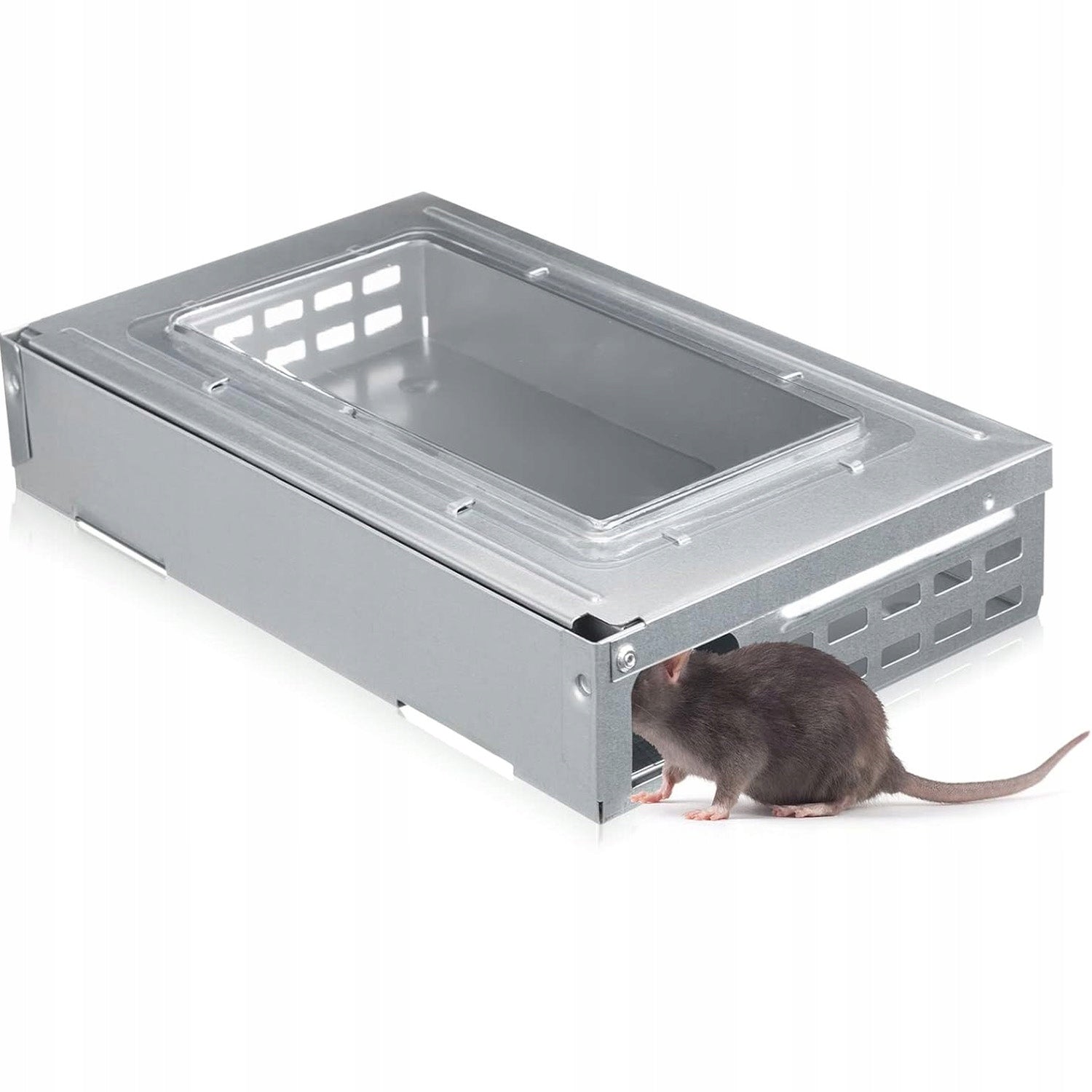 GERBIL LIVETRAP MOUSETRAP RATS PAW GRIPPER METAL GALVANIZED