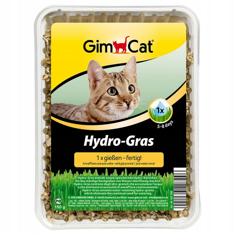 GIMCAT Hydro Gras grass for cats in a container 150g