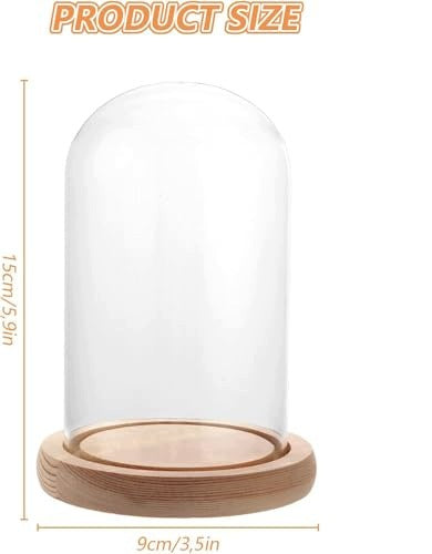 GLASS SHADE WITH WOODEN BASE BELL DECORATIVE GIFT wooden Manufacturer code Bez marki