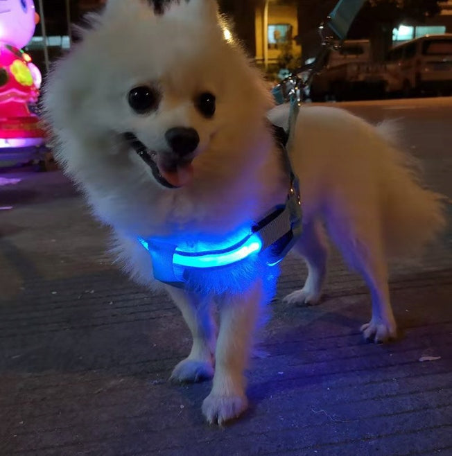 GLOWING HARNESS FOR DOG WHITE S 32-40x2cm Manufacturer code 401260
