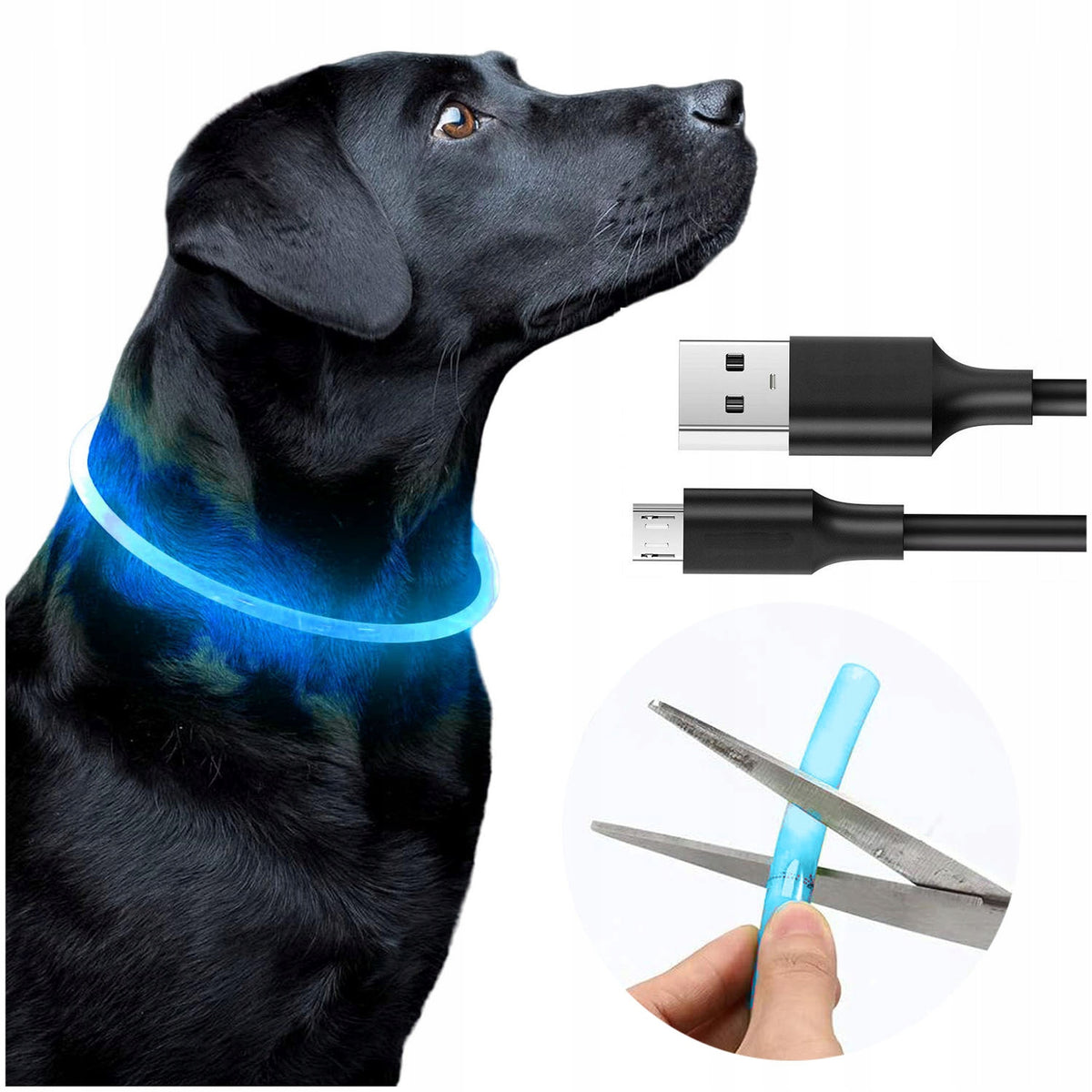 GLOWING LED CAT DOG COLLAR 50cm SILICONE USB ADJUSTABLE WATERPROOF