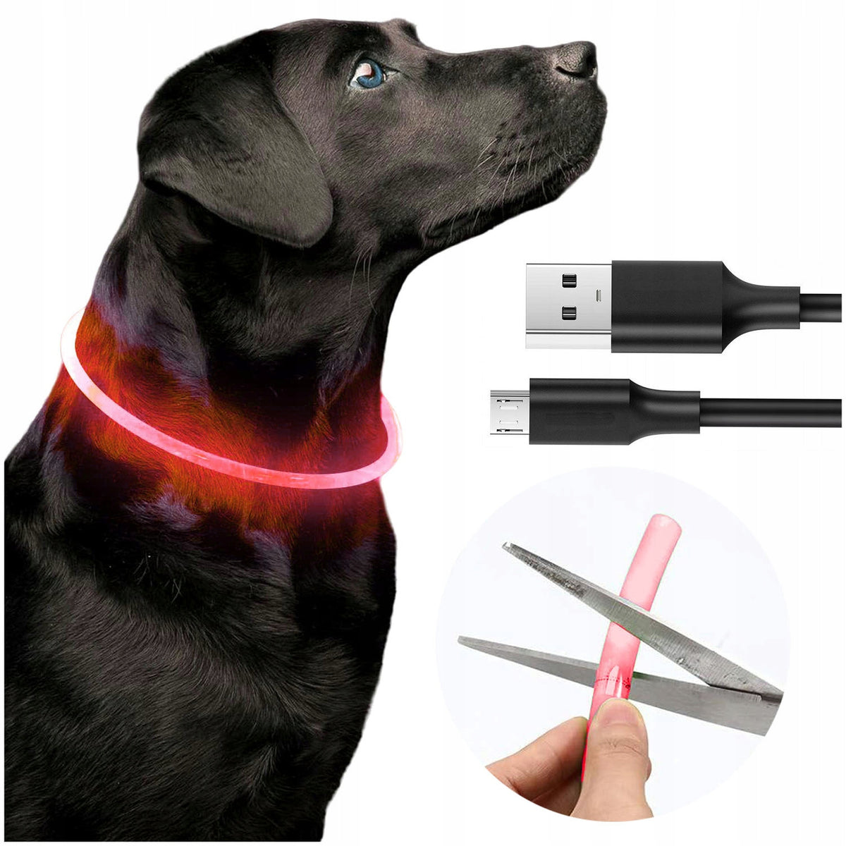 GLOWING LED CAT DOG COLLAR 70cm RED USB ADJUSTABLE WATERPROOF