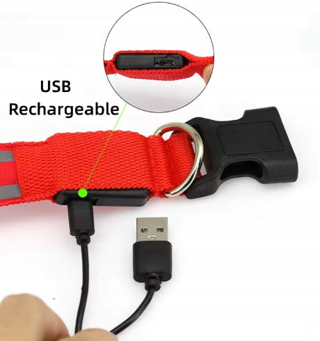 GLOWING LED CAT DOG COLLAR USB REFLECTIVE - SIZE L Packaging status original
