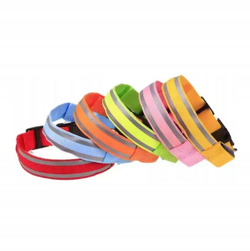 GLOWING LED CAT DOG COLLAR USB REFLECTIVE - SIZE XL Manufacturer code SKUXX21122701-1