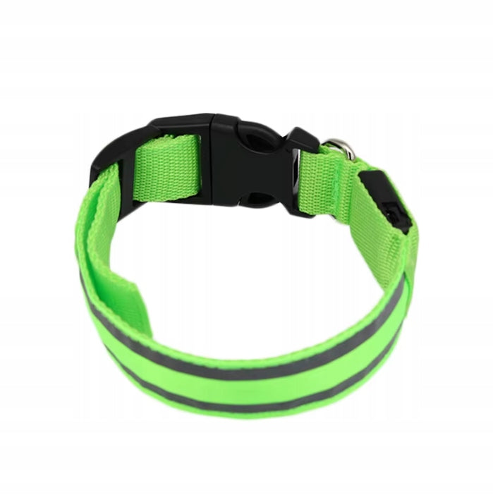 GLOWING LED CAT DOG COLLAR USB REFLECTIVE - SIZE XL
