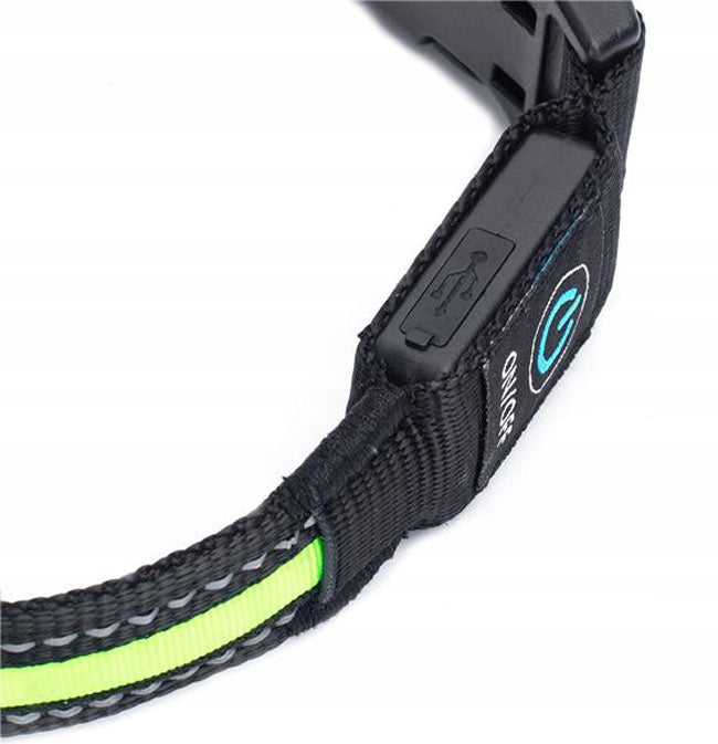 GLOWING LED COLLAR CHARGED USB FOR DOG 41-51CM Brand Nobleza