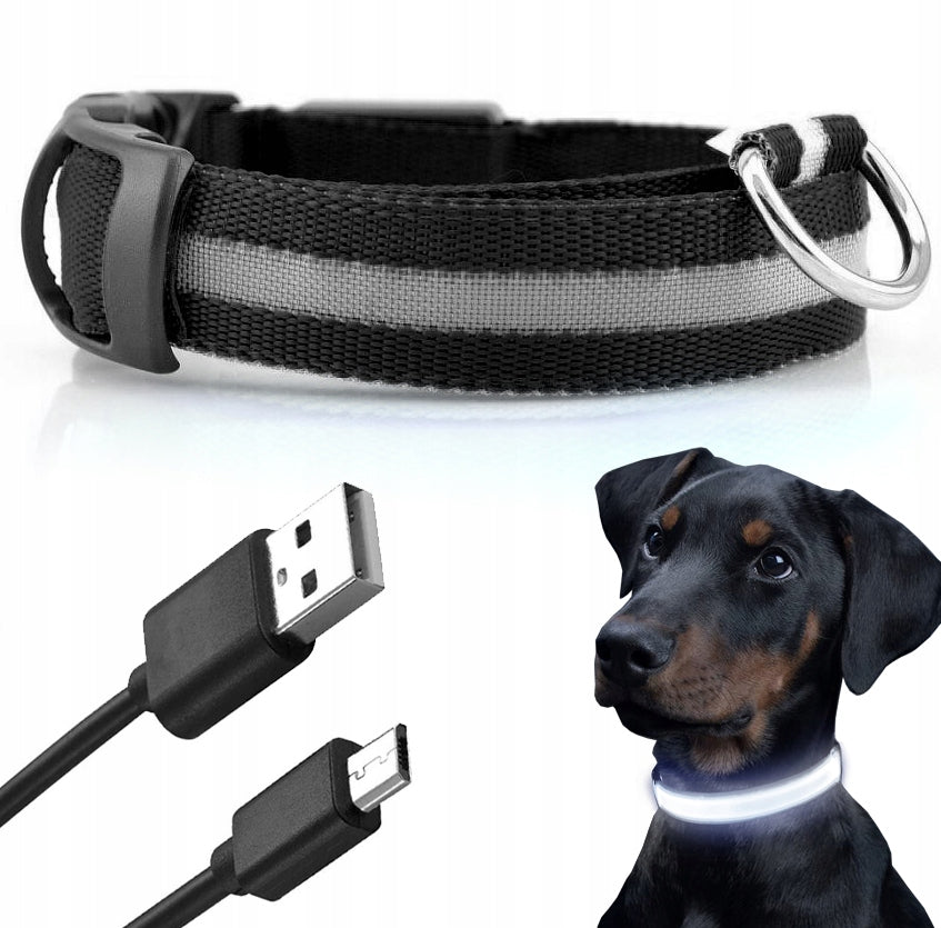 GLOWING LED COLLAR for Cat Dog 30-45cm Roz. M USB