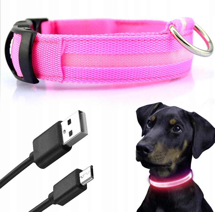 GLOWING LED COLLAR for Cat Dog 30-45cm ros. M USB