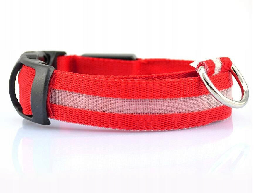 GLOWING LED COLLAR for Dog Cat 40-55cm size XL USB Brand Reverse