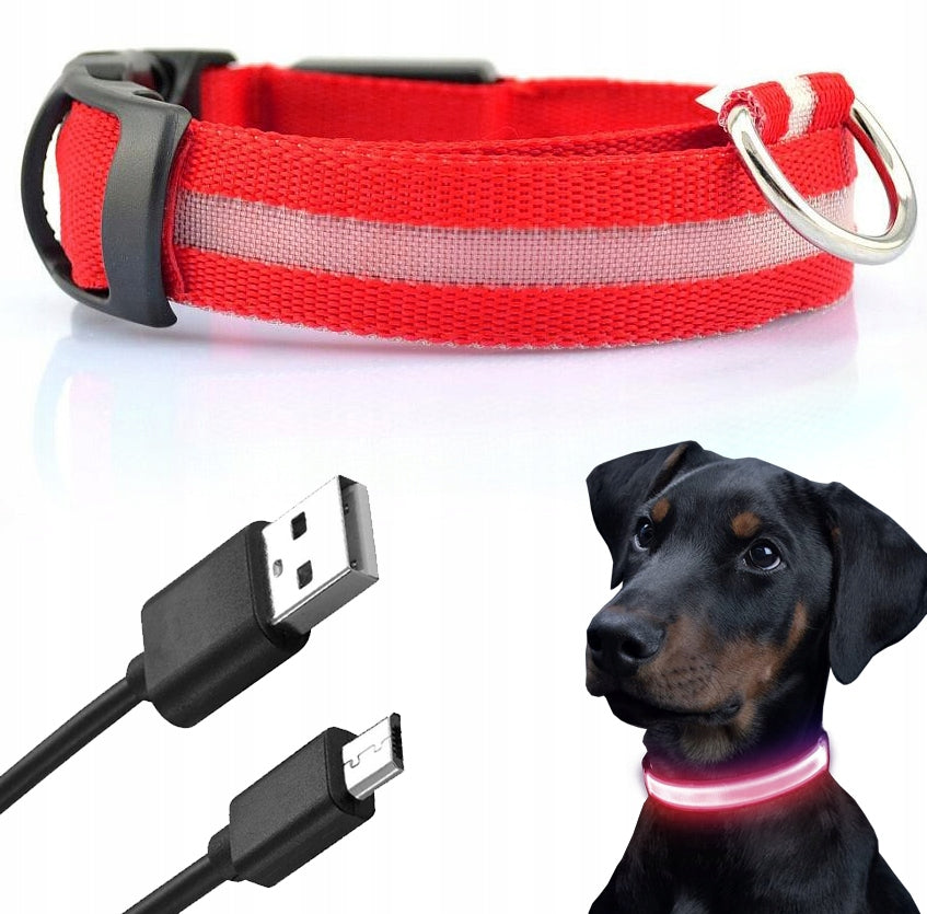 GLOWING LED COLLAR for Dog Cat 40-55cm size XL USB