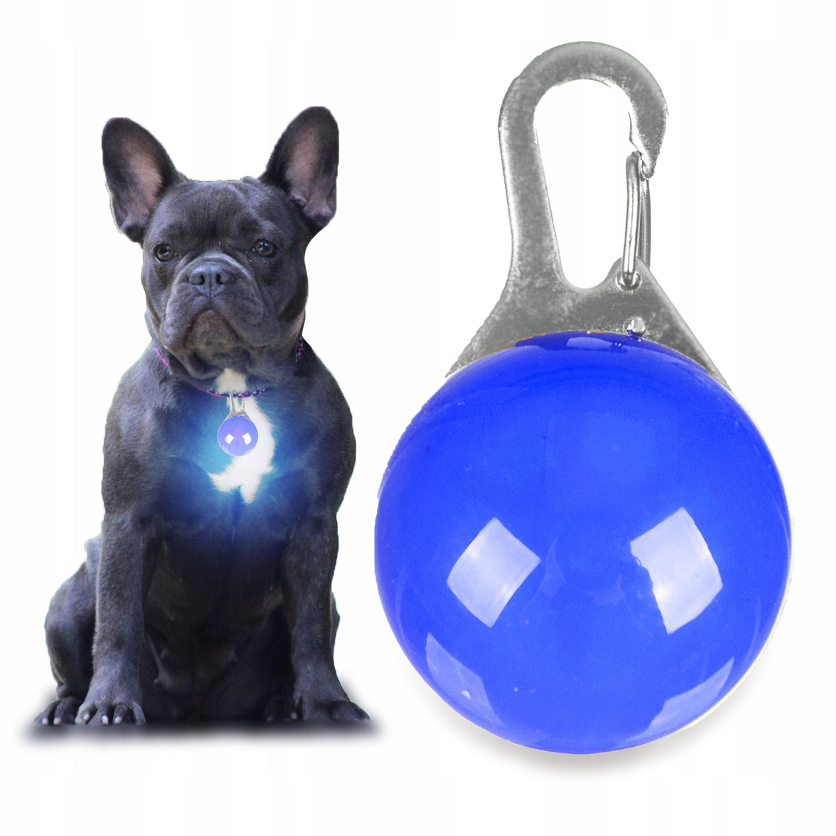 GLOWING LED LAMP Dog Collar Pendant BLUE